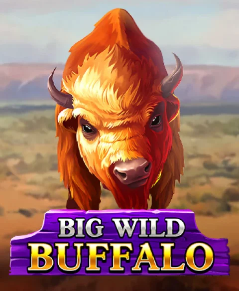 Play Big Wild Buffalo at Casi Neia Casino